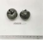 Click for 5 image(s) for this accession. FRUIT